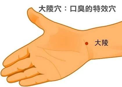 口臭怎么办?按一个穴位就能解决!