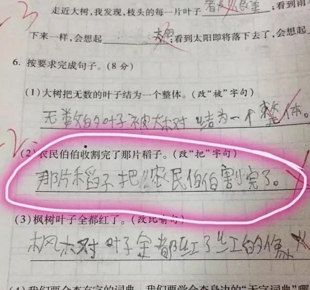 得0分的卷子 都写了些什么答案?