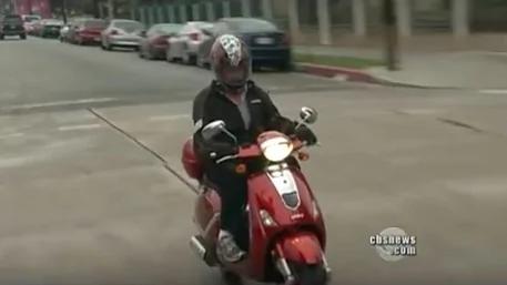 当这只鹅爱上了一个男人 一段特殊的情谊上演了