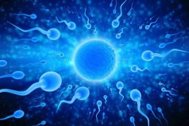 研究证实，精子能改造成为携带药物的载具可应用于治疗妇科癌症。（达志影像／shutterstock提供）