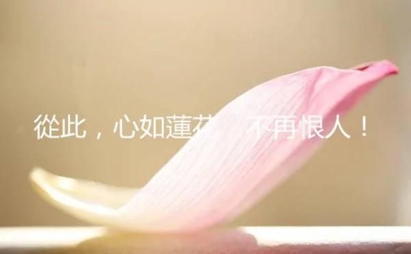从此 心如莲花 不再恨人!