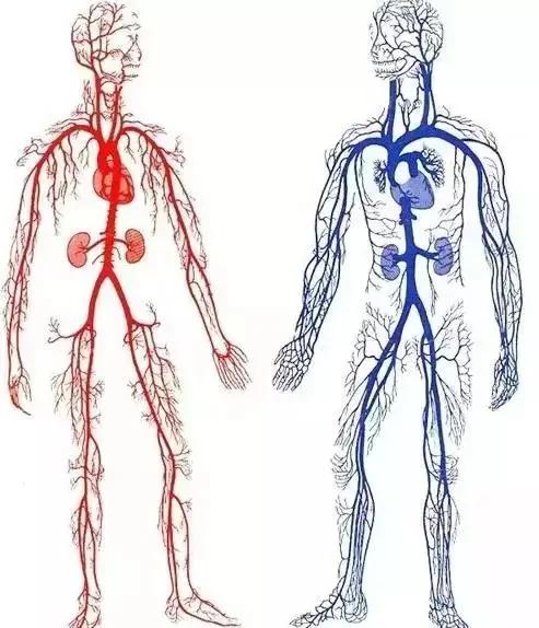 身上筋结散 体内百病去