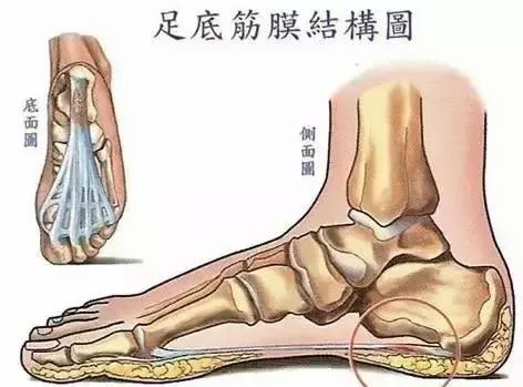 身上筋结散 体内百病去