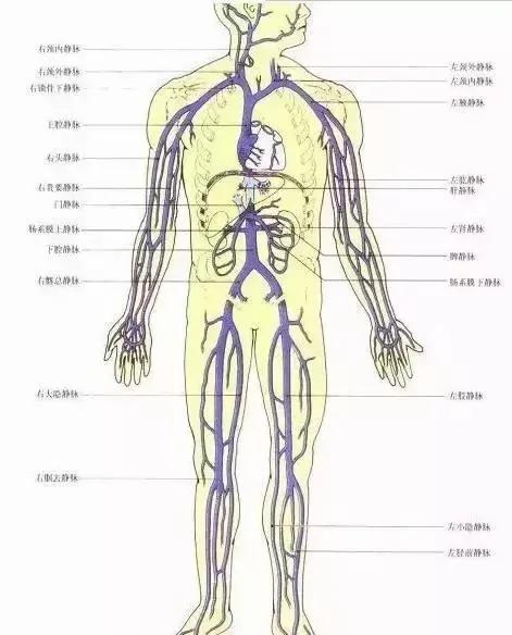 身上筋结散 体内百病去