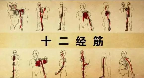 身上筋结散 体内百病去