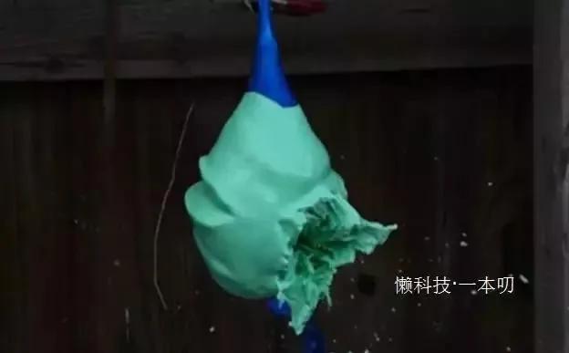 如何用小小口香糖 砸开硬硬的椰子