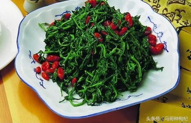 看看种枸杞的人一年是怎么吃枸杞的!这么吃 八十岁还可以憋住尿