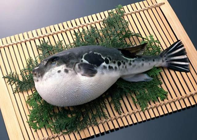 五种可致人死亡的美食 没想到这也有毒