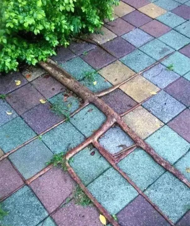 强迫症拍下的这组照片 让同样有些强迫症的我通体舒畅…
