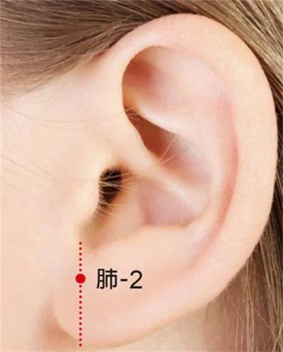 想戒烟?这一个耳穴能帮你