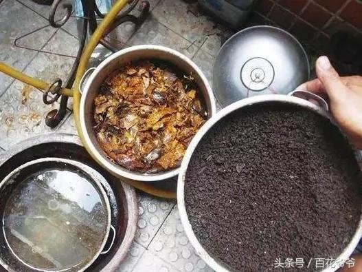 香蕉皮用来养花?你想不到的妙用 方法超级简单