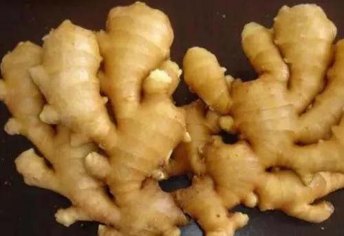学来的美国秘方 防过敏 每天喝一小杯
