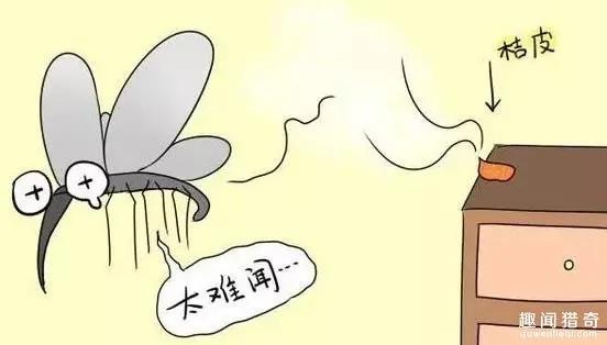 只用一张纸 就能让蚊子再也不敢往你跟前飞!