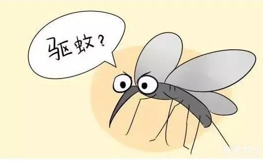 只用一张纸 就能让蚊子再也不敢往你跟前飞!