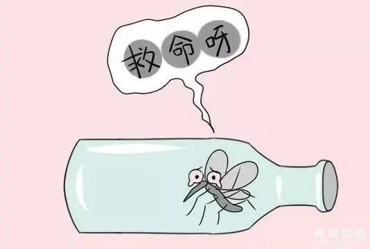 只用一张纸 就能让蚊子再也不敢往你跟前飞!