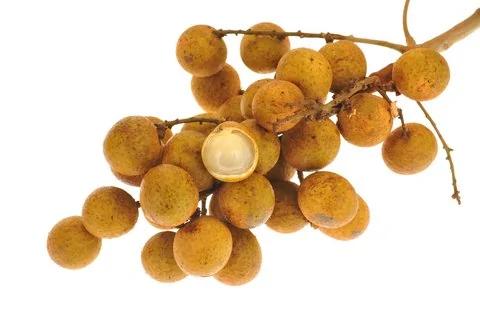 告诉您怎么补血最好