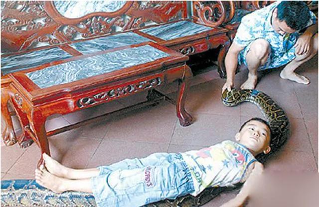 黄先生9年前救下将死的小蟒蛇 如今蟒蛇居然这样对主人…