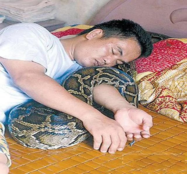黄先生9年前救下将死的小蟒蛇 如今蟒蛇居然这样对主人…