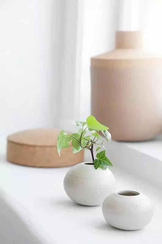 水里加点这个 植物翠绿不黄叶 简直神了!