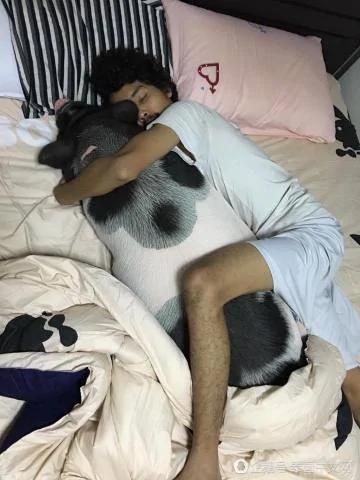 男子把母猪当女朋友来养 天天抱着睡觉!