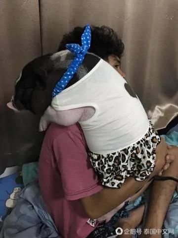 男子把母猪当女朋友来养 天天抱着睡觉!