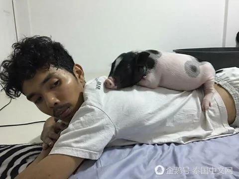 男子把母猪当女朋友来养 天天抱着睡觉!