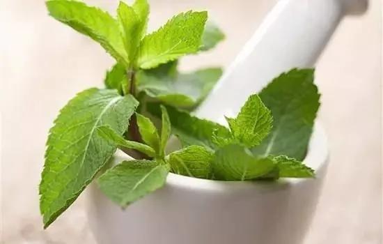 中医解救“手机病”:眼花脖子僵硬手也麻?