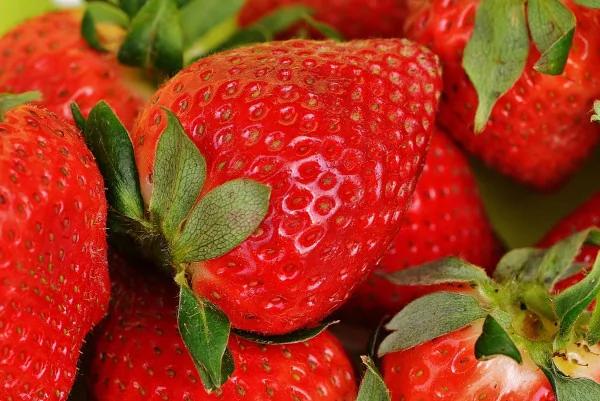 美国牙齿美容医师总结:这10种食物可洁齿
