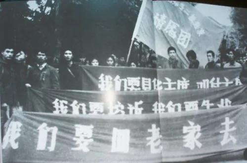 中共拒认错!周恩来将知青就业包袱甩农村