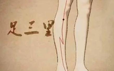 人活一口气 养好五脏之气才长寿 养气方法都在这了!