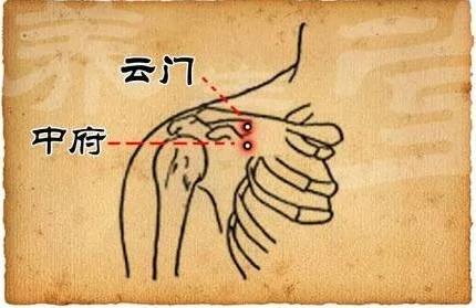 人活一口气 养好五脏之气才长寿 养气方法都在这了!