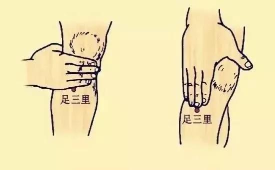 身体好坏 脾胃说了算!7道题自测脾胃健康