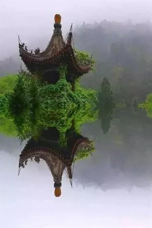 美醉了:这才叫人生!