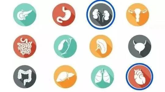 “冬病夏治”的科学解读:看看这些“寒症”你有没有