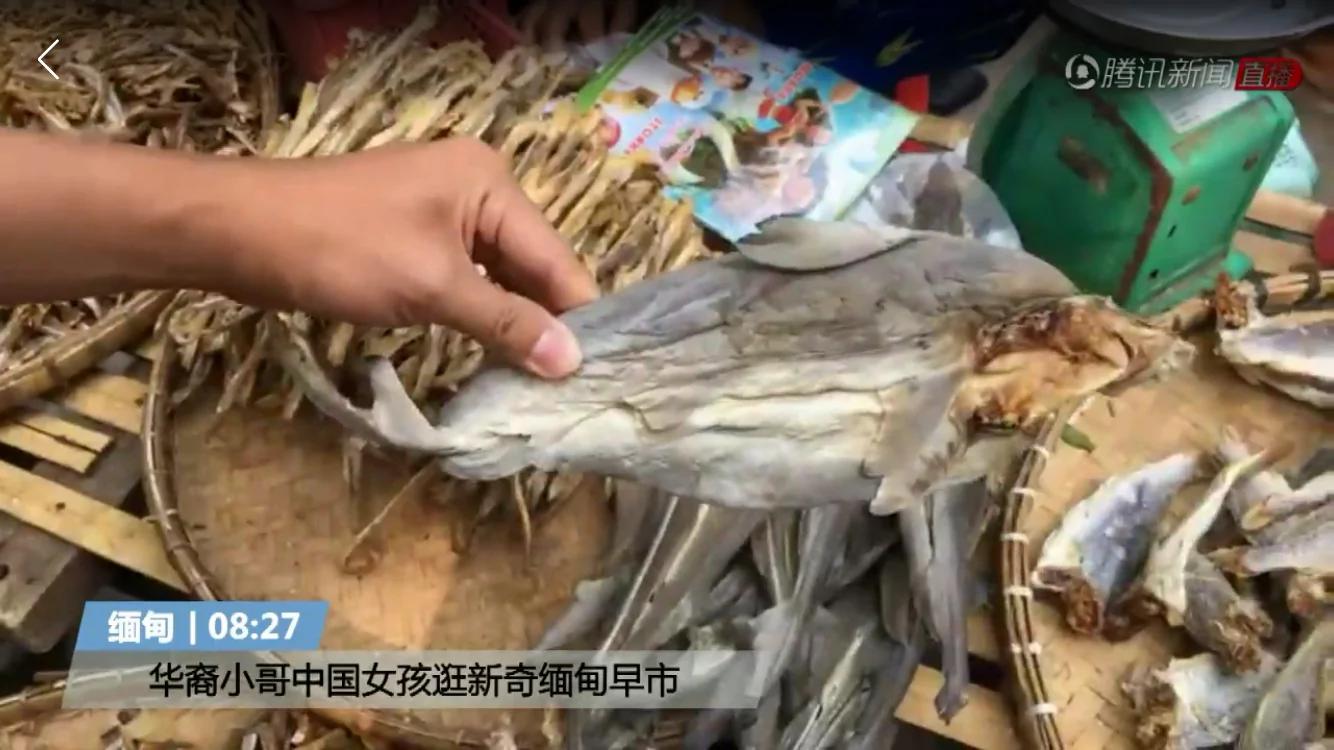 中国女孩逛缅甸早市:86版西游记卖得最火