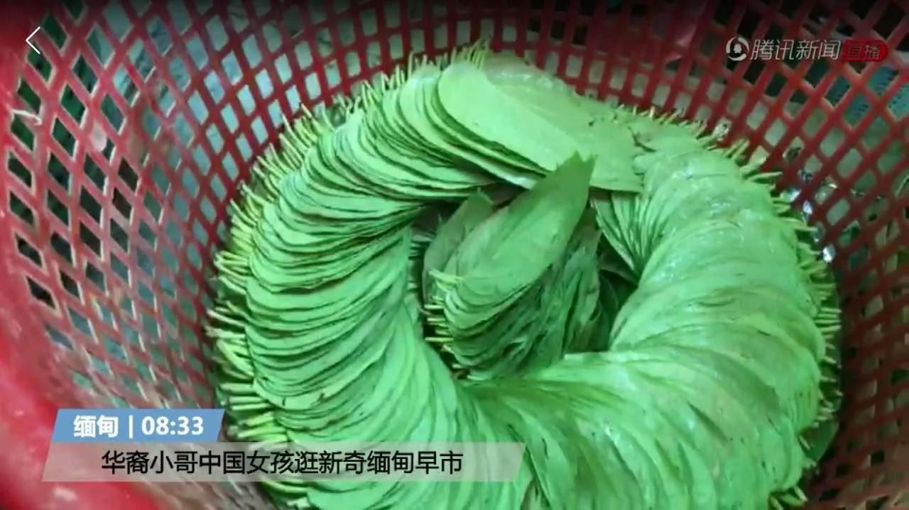 中国女孩逛缅甸早市:86版西游记卖得最火