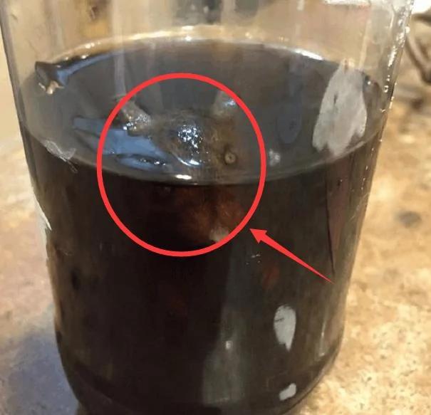 爷爷带孙买可乐 喝一半发现瓶中瞪着一双眼睛