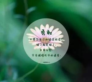 快速提高生活质量的十个小方法