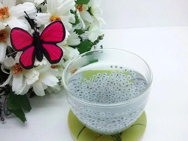 奇亚籽这个红遍INS的超级食品 到底有何奇效?