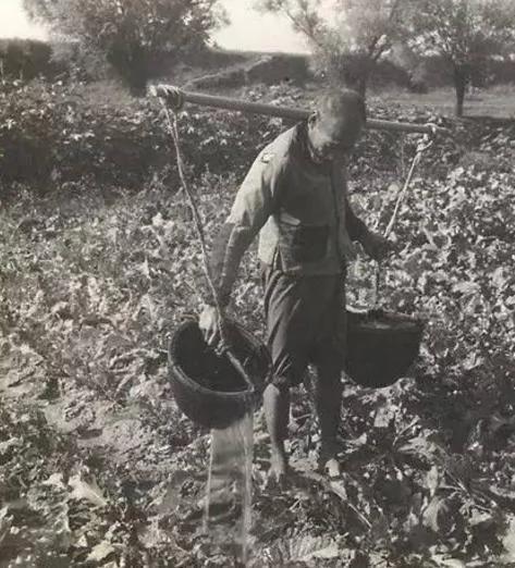 你大约是没见过的 民国时候的农村照片