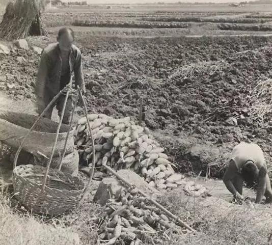 你大约是没见过的 民国时候的农村照片