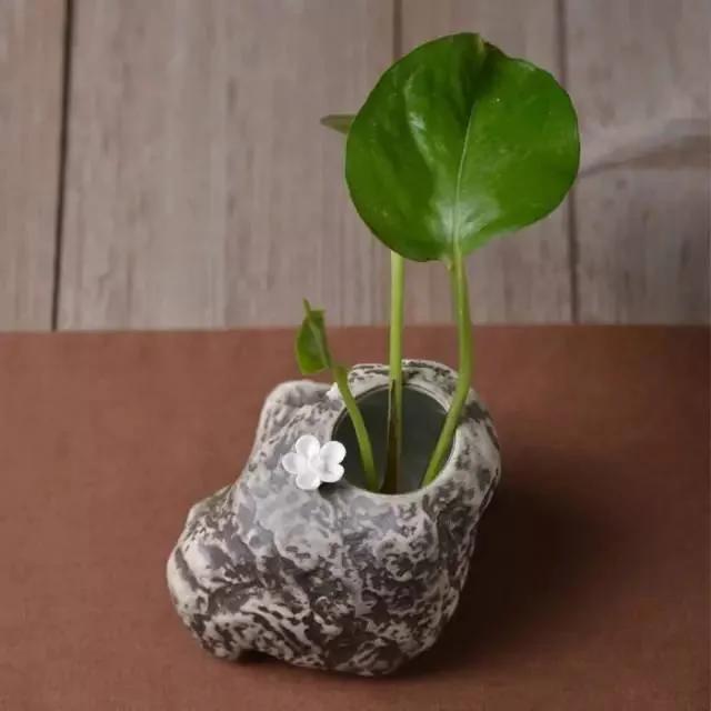 当汉字可以对话 中华汉字尽显博大精深!