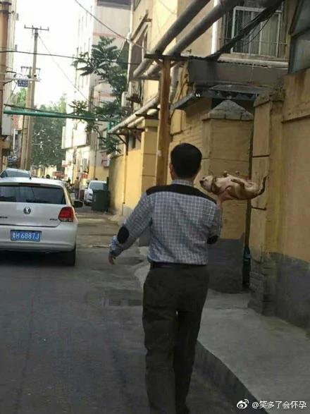 出来玩就不肯回家是吧?狗子你还是太天真了…
