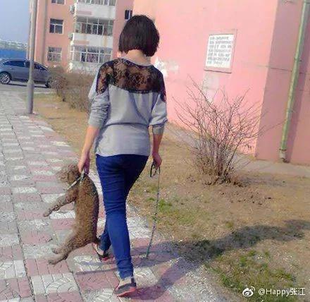 出来玩就不肯回家是吧?狗子你还是太天真了…