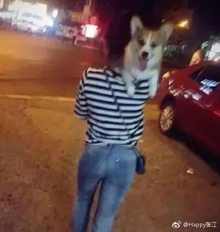 出来玩就不肯回家是吧?狗子你还是太天真了…