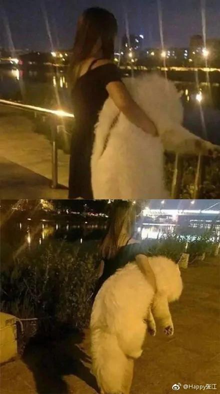 出来玩就不肯回家是吧?狗子你还是太天真了…