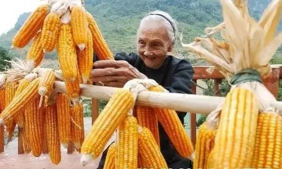 《黄帝内经》里藏着的一个养生方 在长寿之乡得到了证实!人人都想知道!