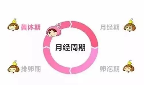 女人一生的补血计划 让你找回18岁的好气色