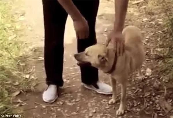 饲主目睹爱犬不断刨挖泥地 好奇一看下惊见洞窟内浮现人脸…