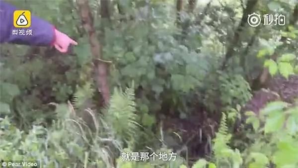 饲主目睹爱犬不断刨挖泥地 好奇一看下惊见洞窟内浮现人脸…